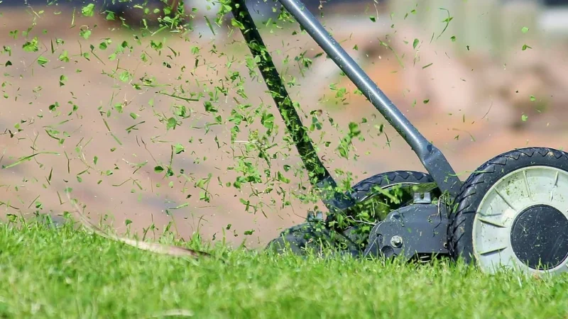Kosiarka gąsienicowa CR10 — moc i stabilność na trudnym terenie